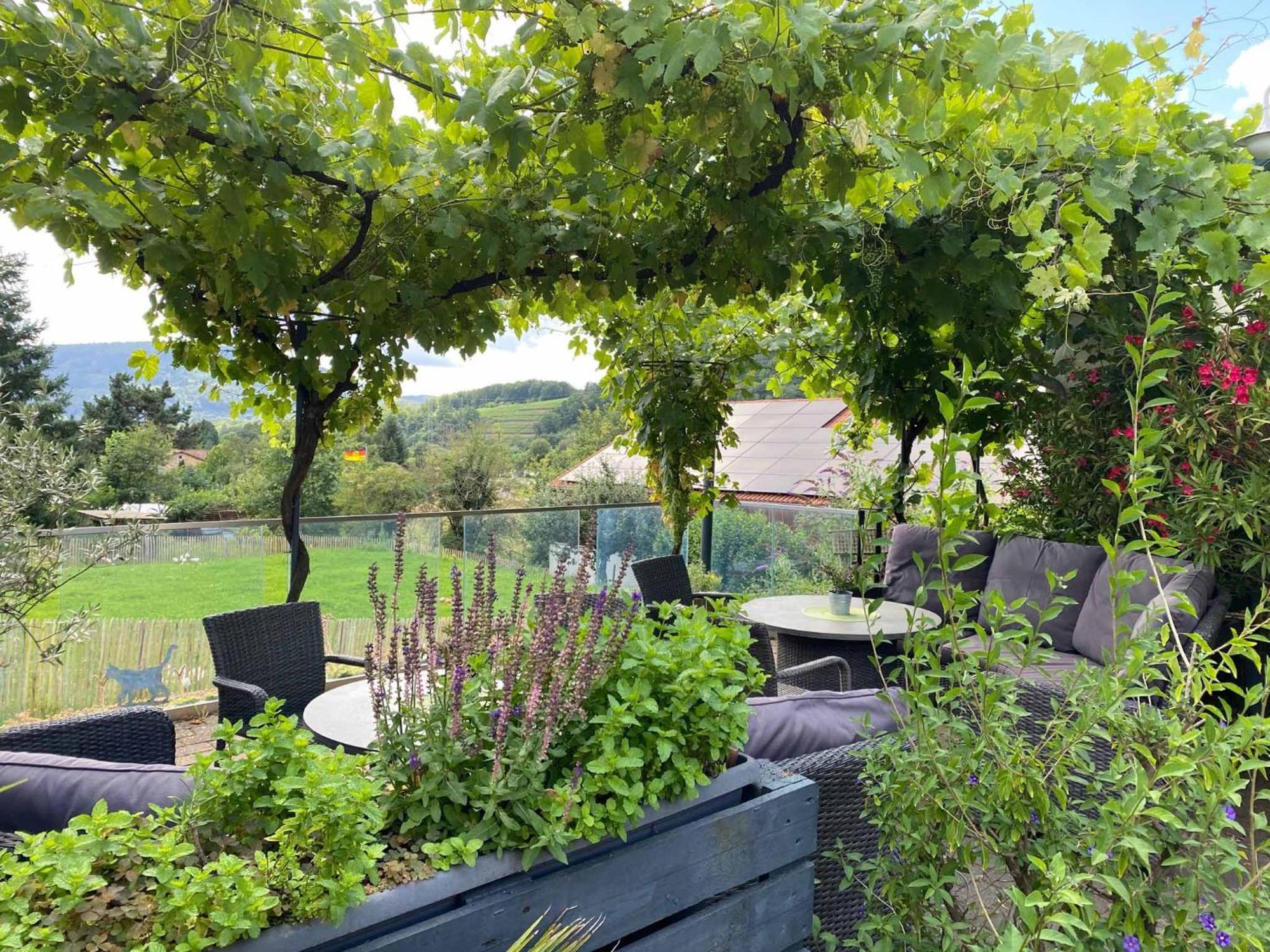 Ferienwohnung Weingut Sturm Buergstadt Exterior foto